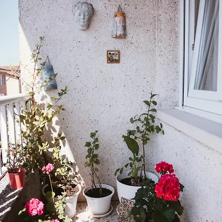 Bequer, Amplio Y Luminoso Vut1035as Διαμέρισμα *
