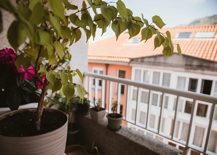 Apartamento Bequer, Amplio Y Luminoso Vut1035as *